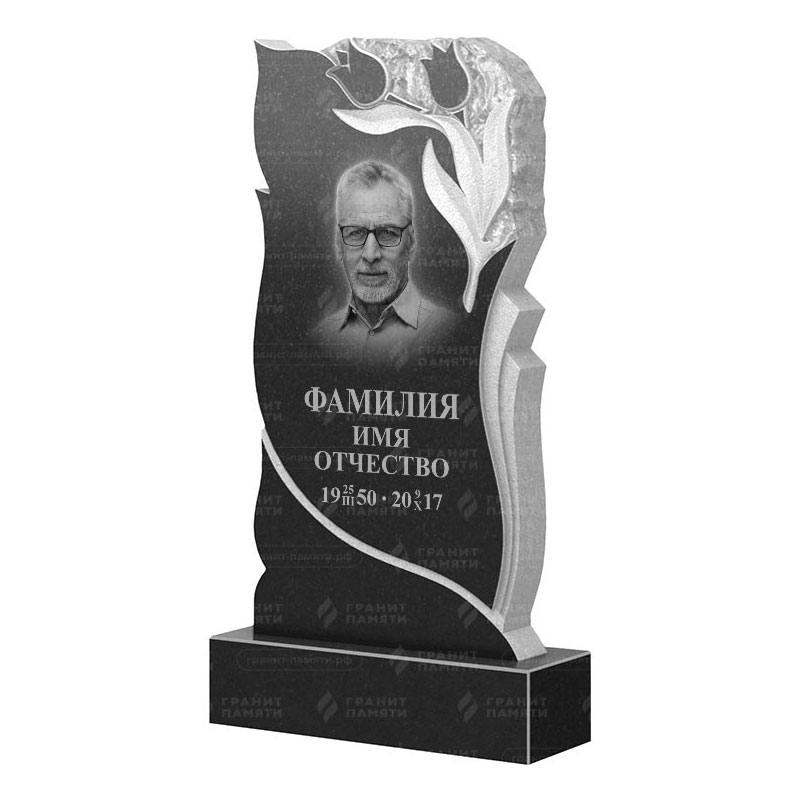Гранитные памятники в&nbsp;Кинели | Гранитный памятник ФГ-223