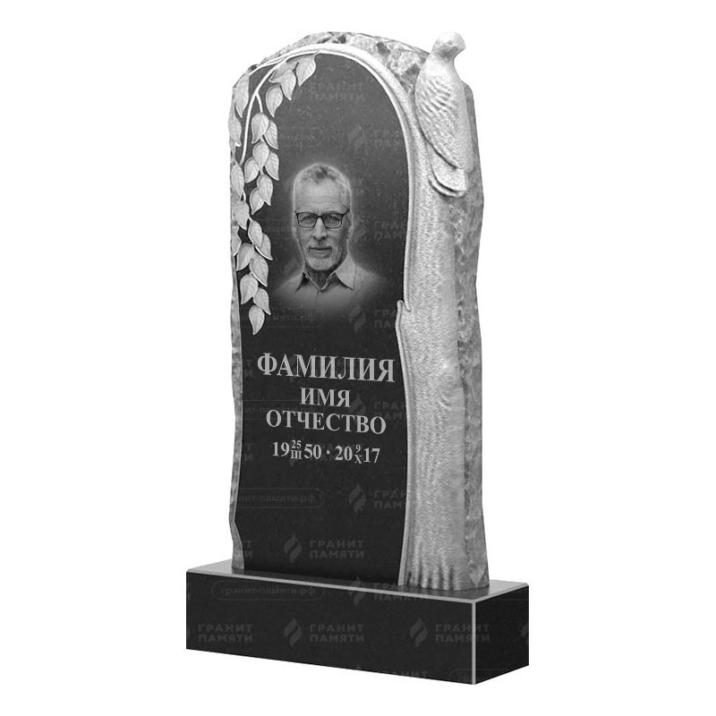 Гранитные памятники в&nbsp;Кинели | Гранитный памятник ФГ-206
