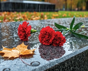 Влияние климатических факторов на памятники